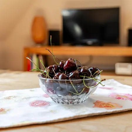 Danner Apartament Oberkirch (Baden)