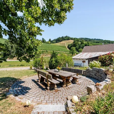 Danner Oberkirch (Baden)