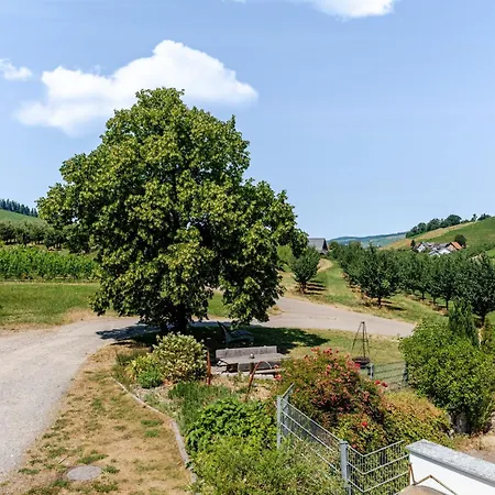 Danner * Oberkirch (Baden)