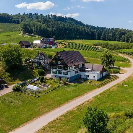 Apartament Danner *